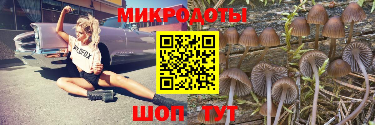 Балашиха  Галлюциногенные грибы Magic Shrooms  Вход с VPN 